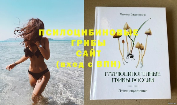 гашик Хадыженск