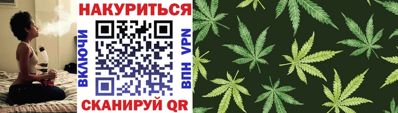 цена   Высоковск  Шишки марихуана MAZAR 